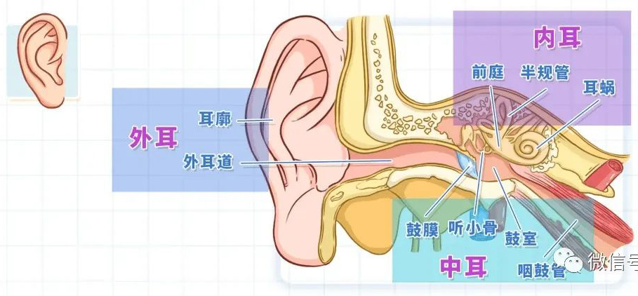 喉咙和耳朵痒是怎么了？看看大医生怎么说。